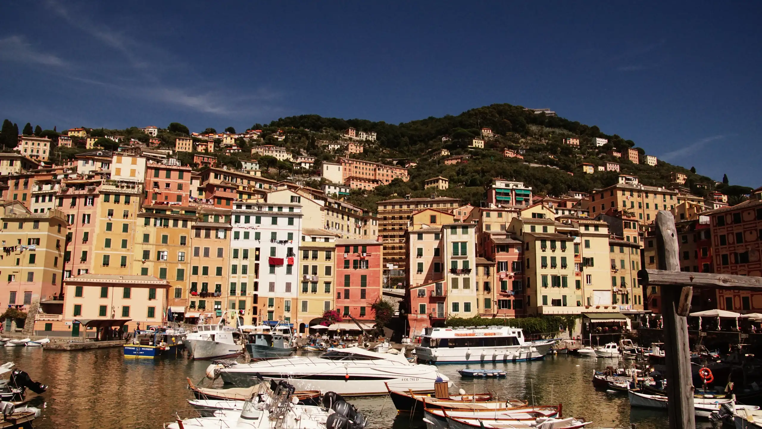 Porto di Camogli con le barche e le case colorate