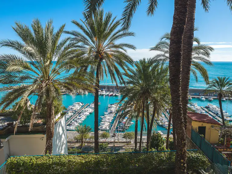 Palme affacciate sul porto turistico di Bordighera
