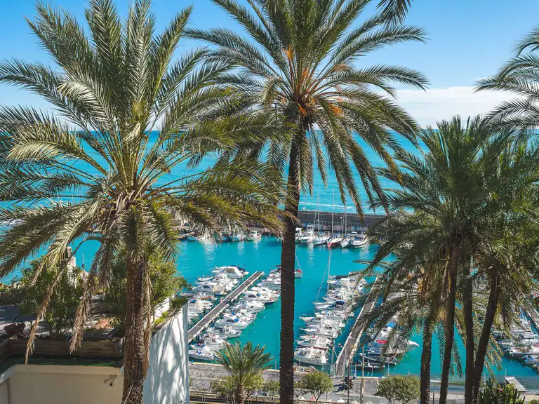 Palme e porto di Bordighera, vista della webcam