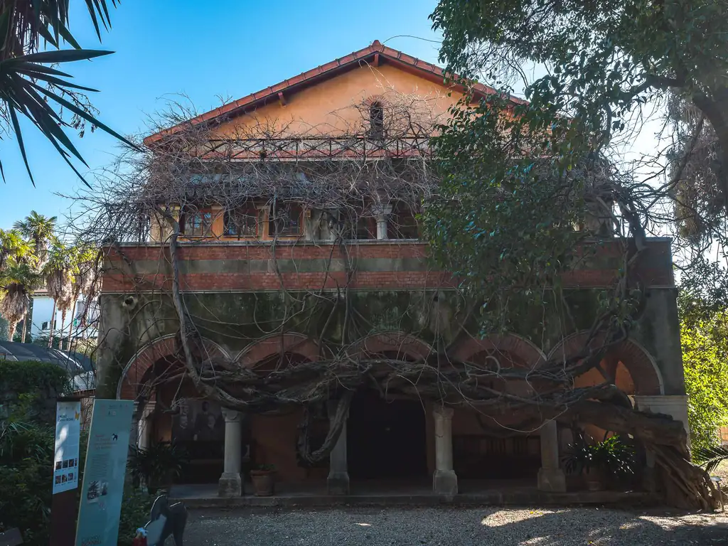 Bâtiment du musée Bicknell couvert de plantes grimpantes
