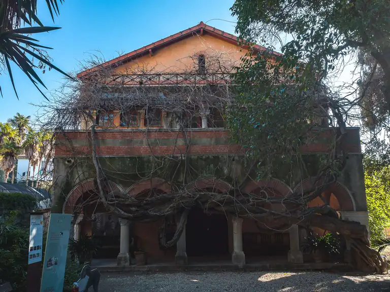 Edificio del Museo Bicknell ricoperto di rampicanti