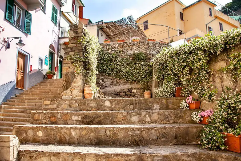 Scalinata tra natura e pietra a Manarola