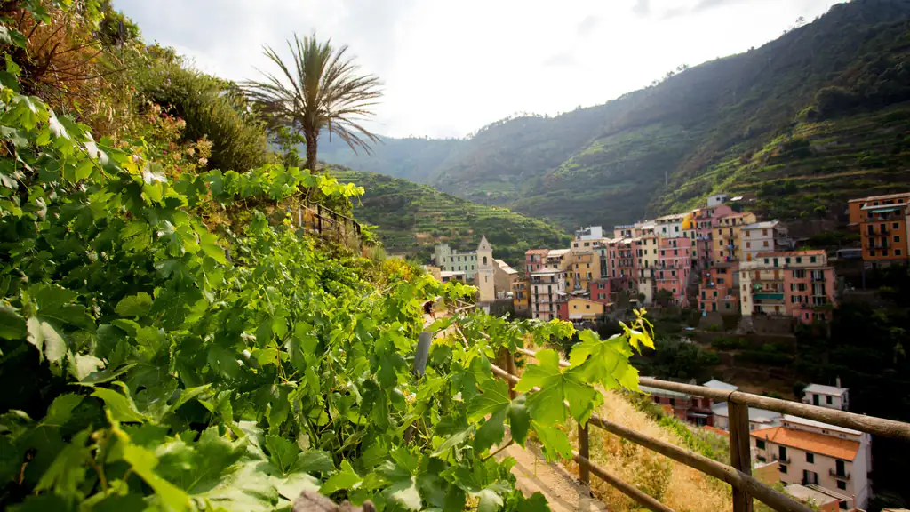Vigneti e case di Riomaggiore tra le colline