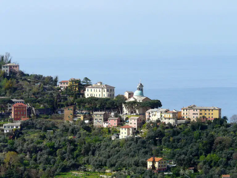 Panorama di San Rocco di Camogli da Ruta