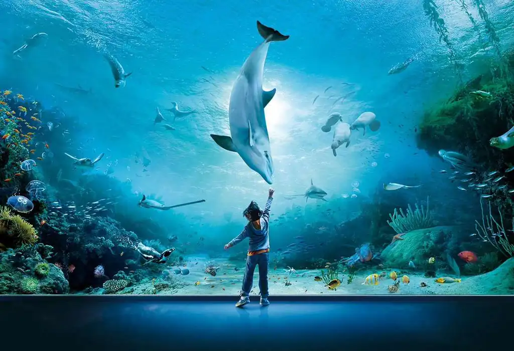 Visitatore davanti alla vasca dei delfini all'Acquario di Genova
