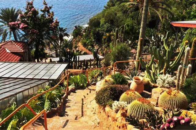 Cactus e piante succulente al Giardino Esotico Pallanca