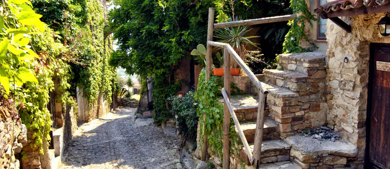 Carruggio con piante e scale a Bussana Vecchia