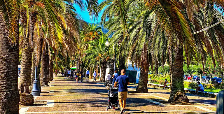 Passeggiata con palme sul lungomare della Spezia