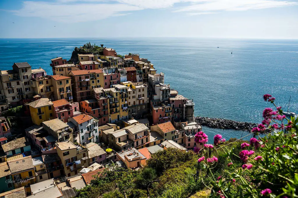Case colorate di Manarola a picco sul mare