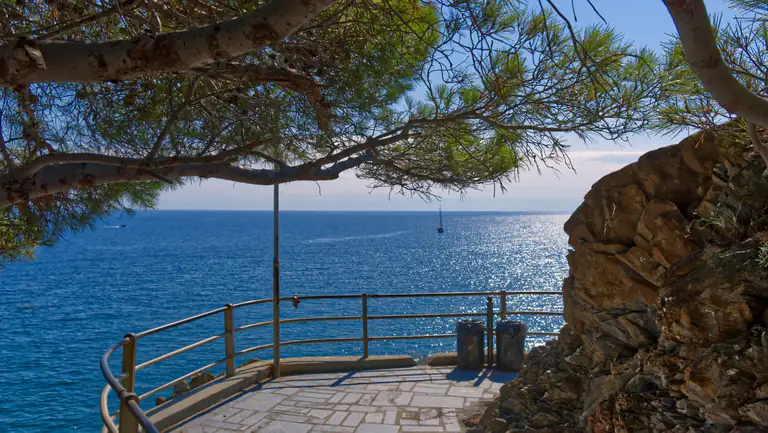Passeggiata a mare sotto i pini a Moneglia