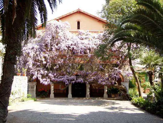 The Bicknell Museum in Bordighera with its century-old wisteria on the façade