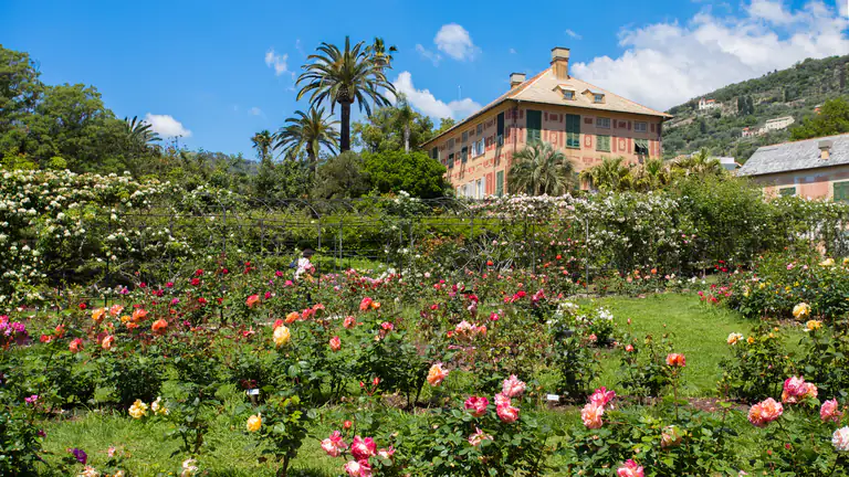 Rosengarten und Villa in den Parks von Nervi, Genua