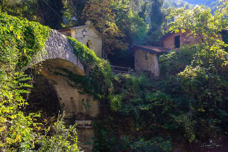 Ponte medievale tra la vegetazione a Pigna