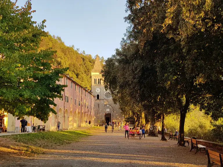 Tree-lined path to the Sanctuary of Soviore above Monterosso
