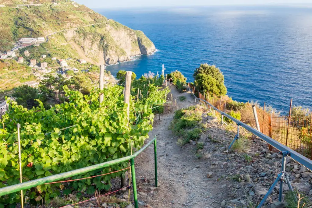 Sentiero da Manarola a Riomaggiore per la Via Beccara