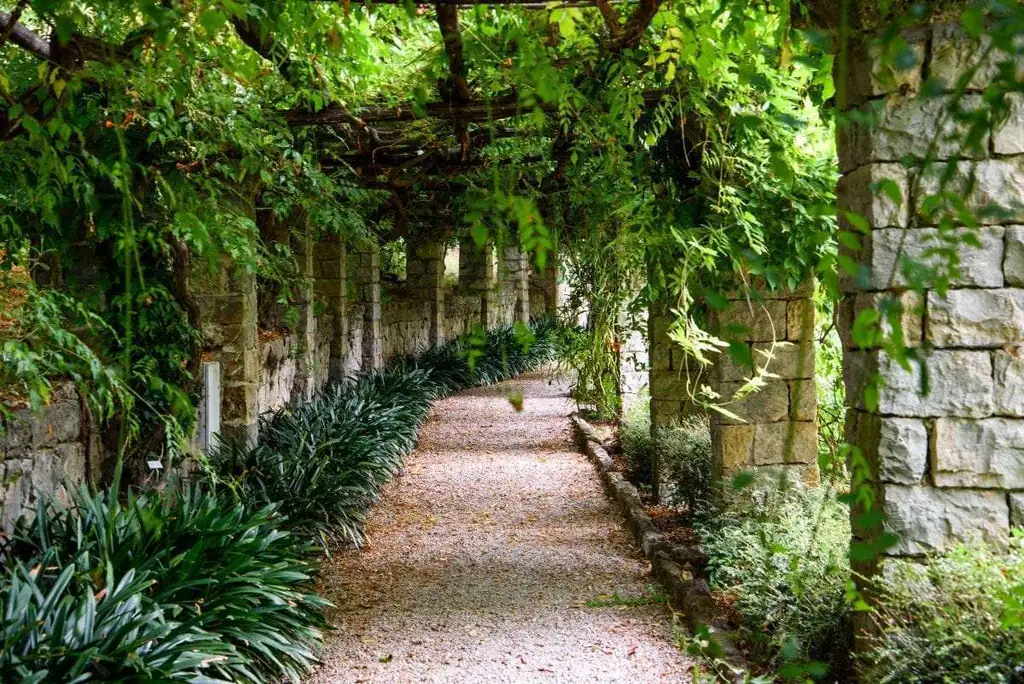 Allée sous la pergola du jardin Hanbury