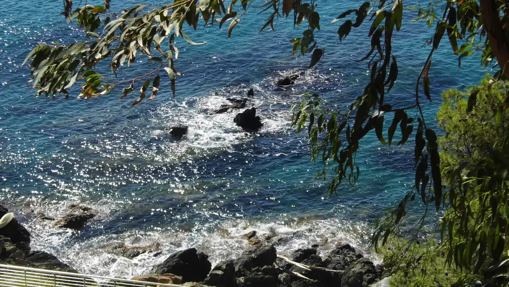 Felsen und Meer bei Varazze zwischen Zweigen
