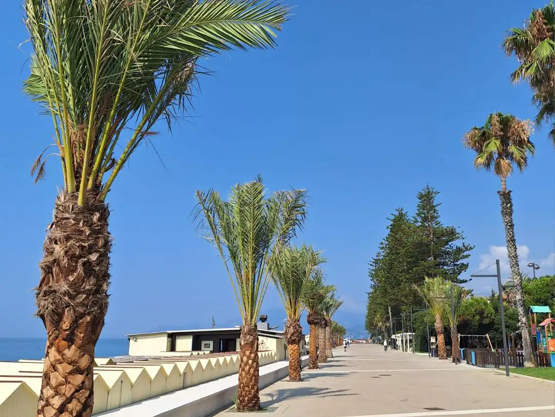 Die neue Strandpromenade von Bordighera mit Palmen