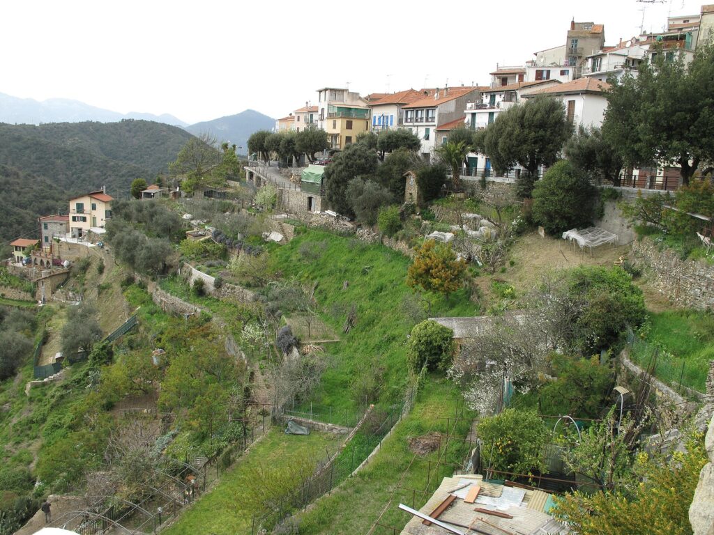 Gli orti terrazzati sotto il borgo di Perinaldo