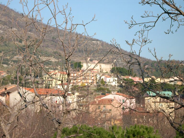 I tetti del centro di Spotorno