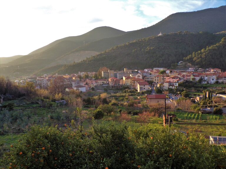 Il centro di Toirano tra gli ulivi