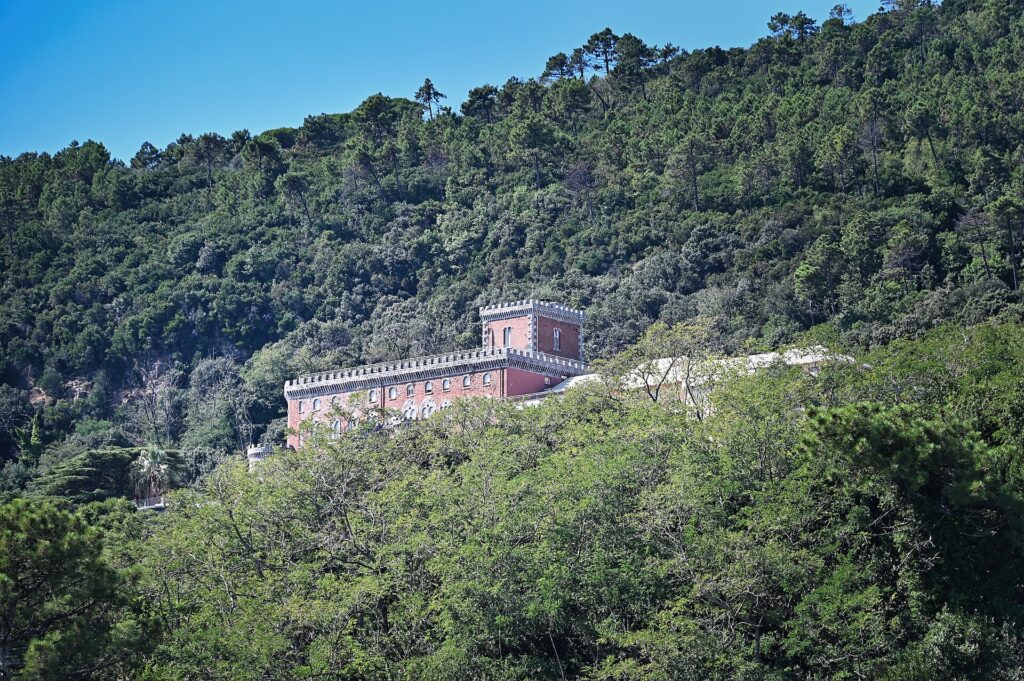 Il monastero di Santa Croce del Corvo nel bosco