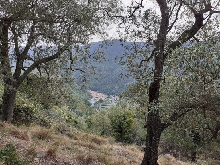 Il paese visto dal sentiero di Ilaria