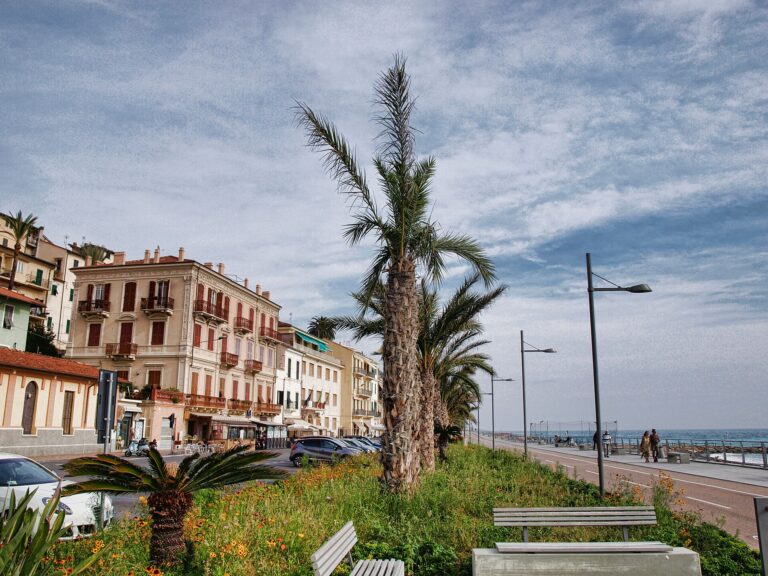 Le palme sul lungomare di Ospedaletti