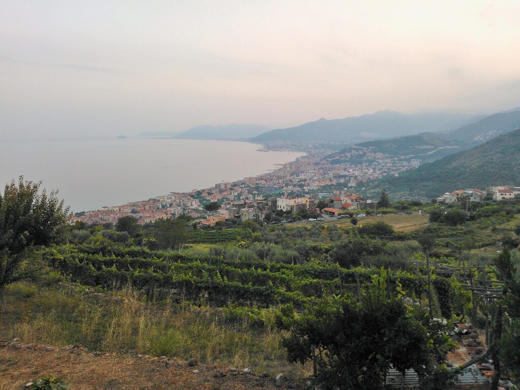 Le vigne sopra Borgio Verezzi