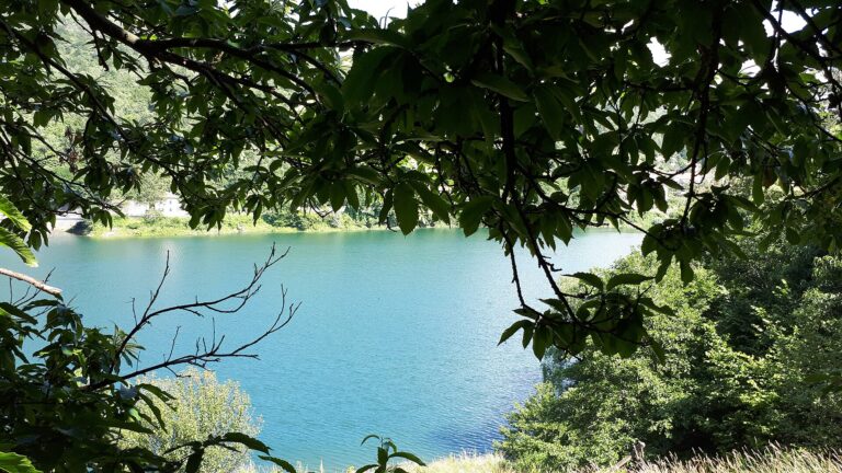 Il lago di Osiglia tra gli alberi