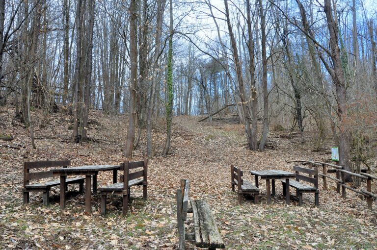 L'area attrezzata davanti alla Tana dell'Orpe nel Parco del Bric Tana