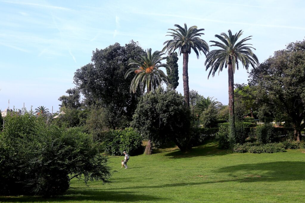 Prati e palme nei Parchi di Nervi