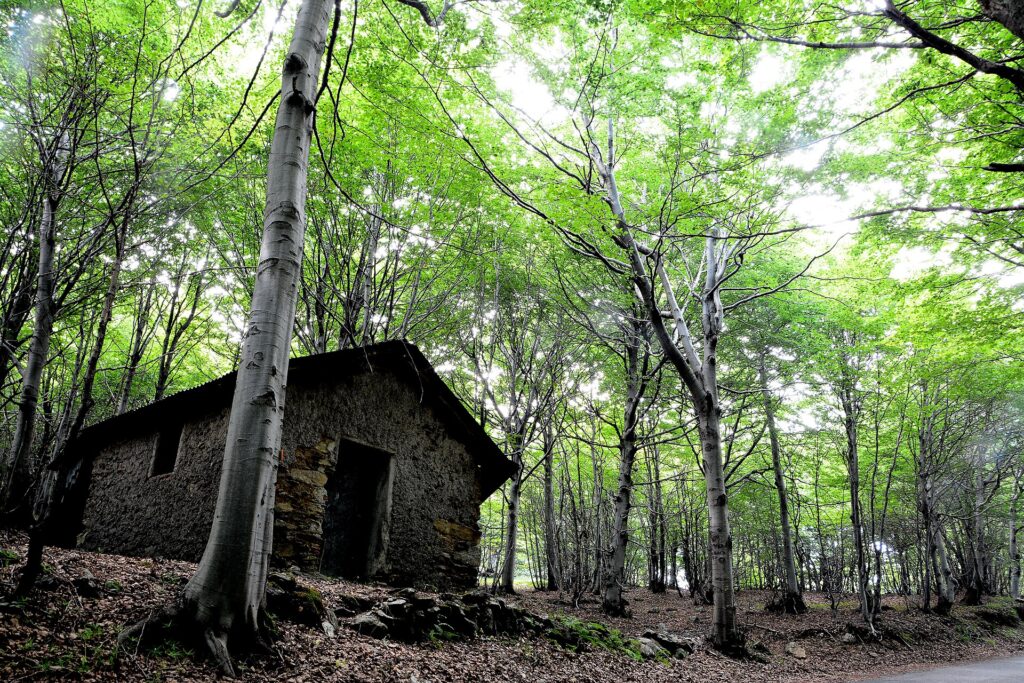 Bosco con una baita in pietra sul monte Beigua