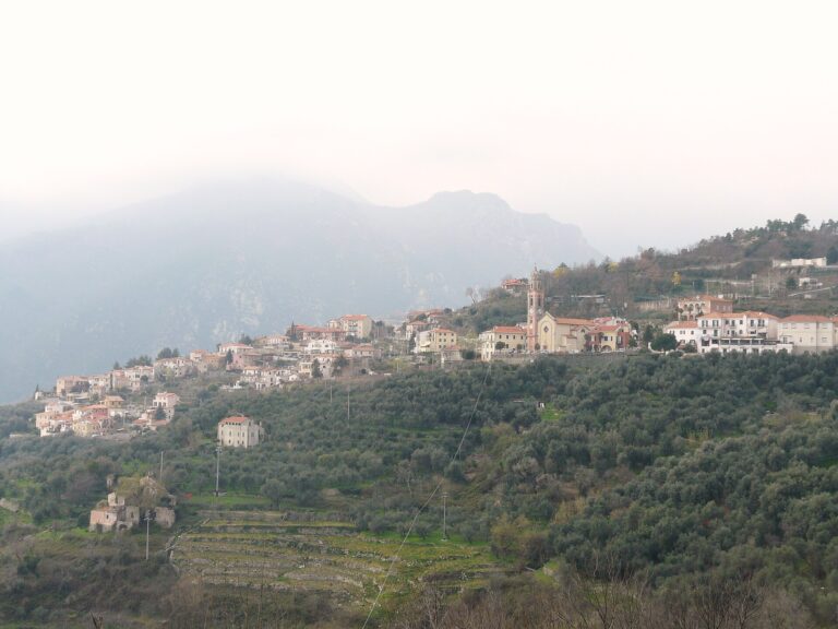 Panorama di Bardino Nuovo sulle pendici della Val Maremola, tra gli ulivi