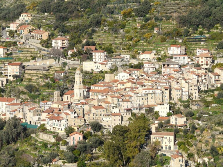 Il borgo di Vallebona tra le terrazze coltivate