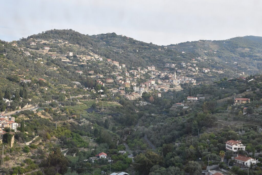 Vallebona sul versante della valle, vista da lontano (foto di zona)