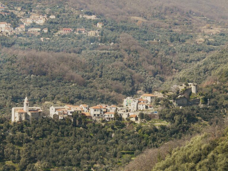 Prelà Castello e gli uliveti della Val Prino